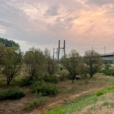 Monitoraggio_Ponte_Po_Field